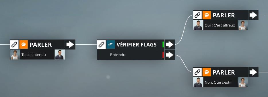 checkflag_fr.jpg