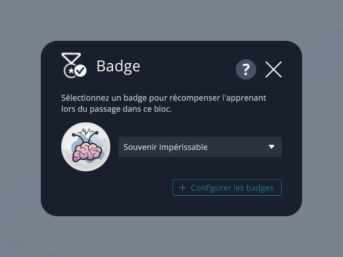 fr_badge_params.jpg (19 KB)