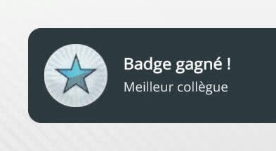 fr_badges_gain.jpg (9 KB)